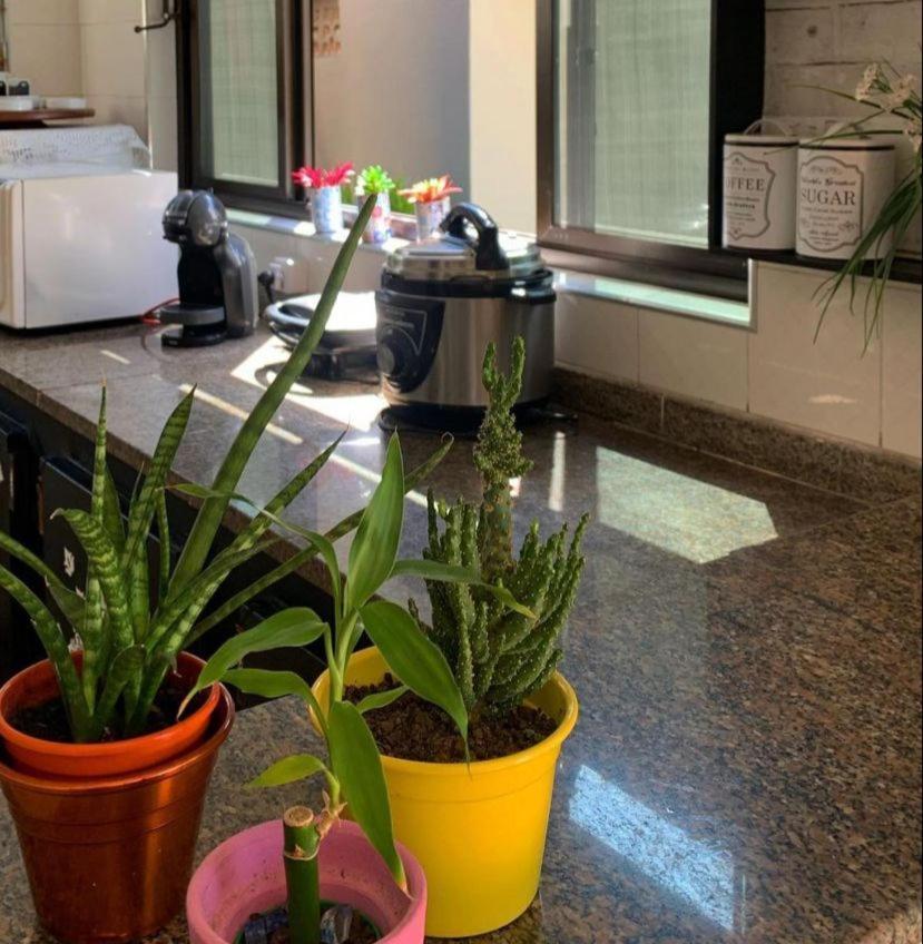 Alma De Mare Hostel Guaruja Ngoại thất bức ảnh